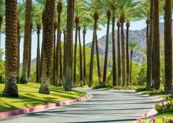 Palm Springs: Una joya en el desierto californiano
